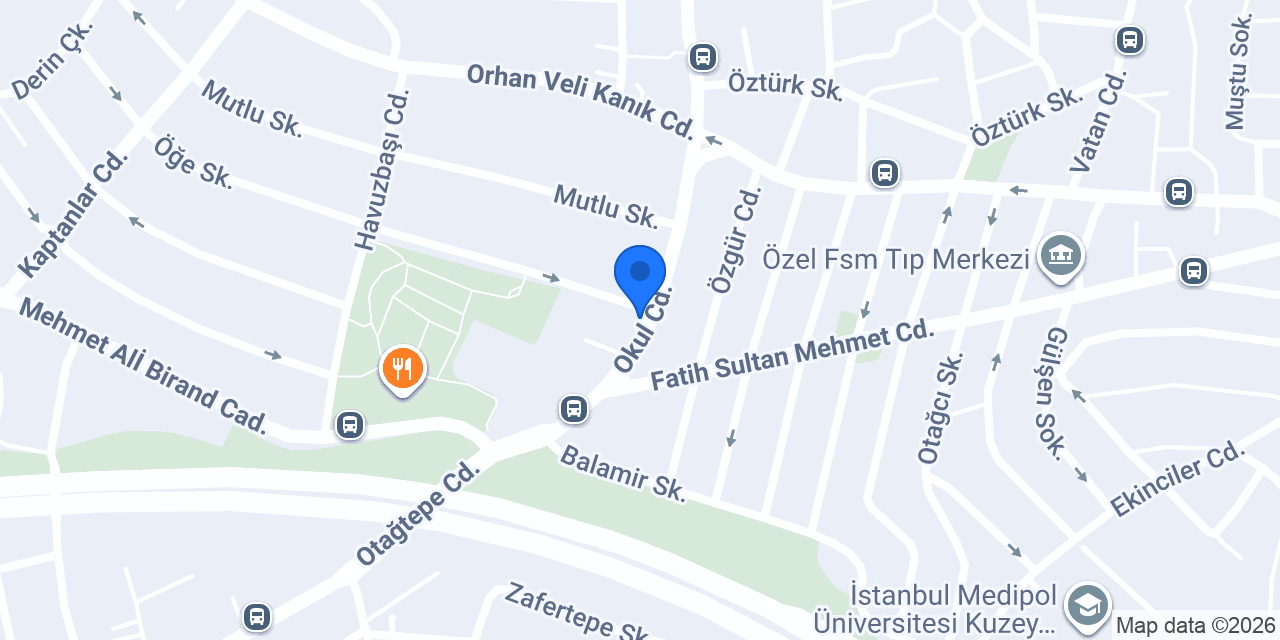 KANARYA ERKEK BERBERI konumu