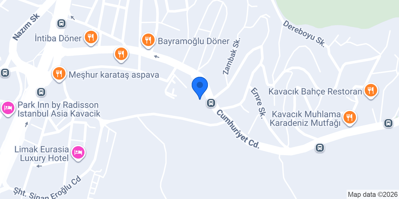 Prof. Dr. Oya Gökmen konumu