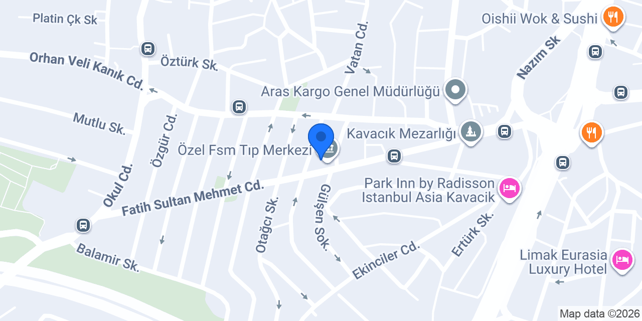 Habil Pizza konumu