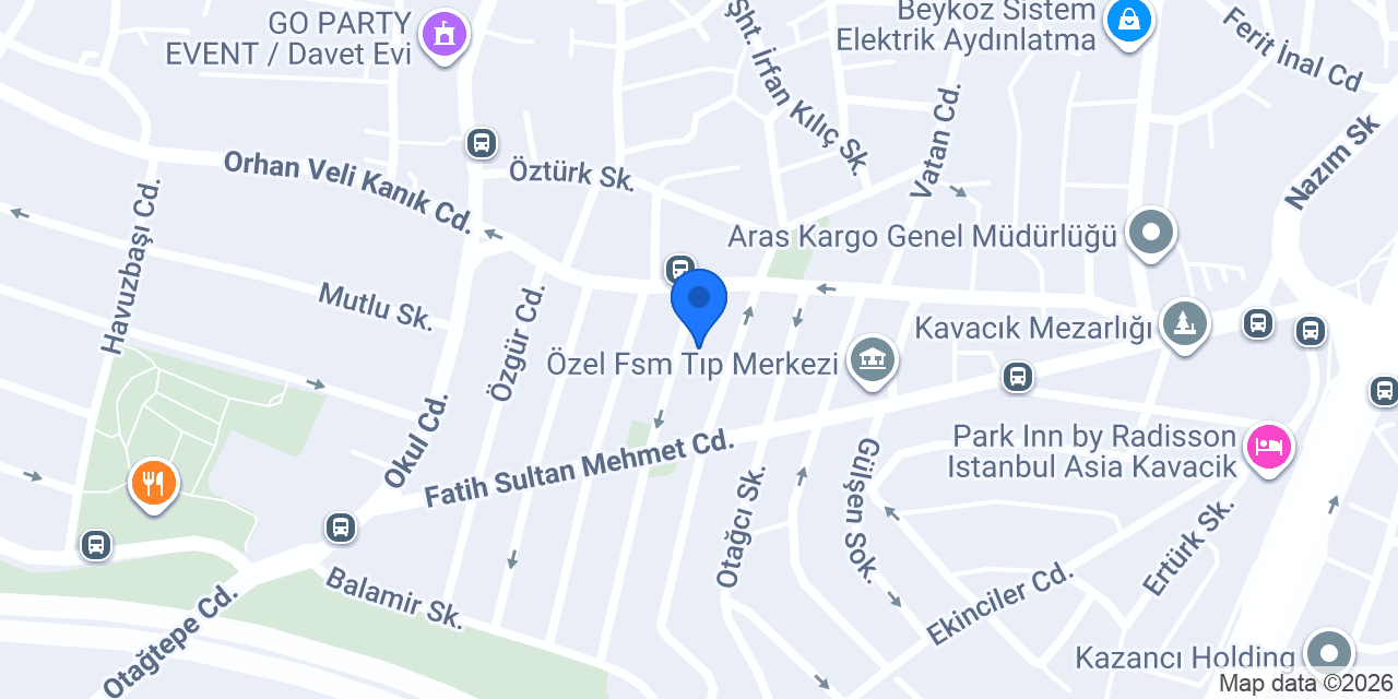 TECHNOMOON LTD ŞTİ konumu