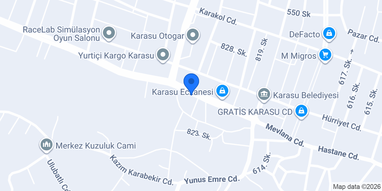 Ayar Veteriner konumu