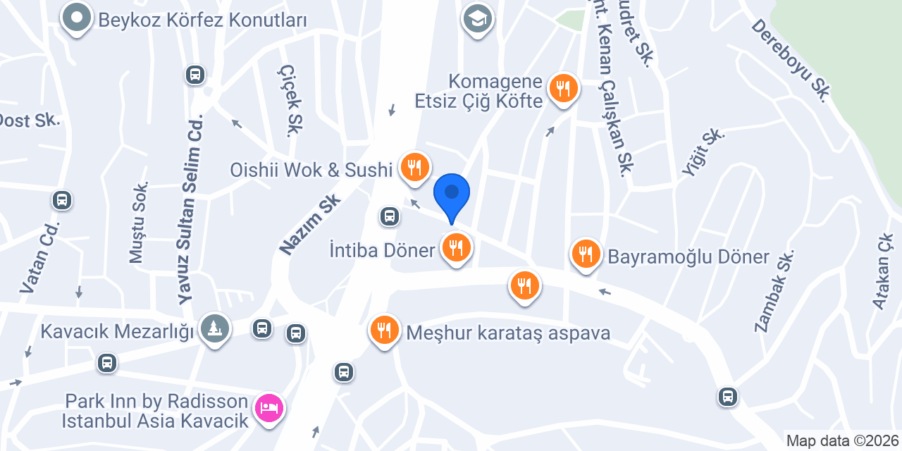 Pasaport Pizza Kavacık konumu