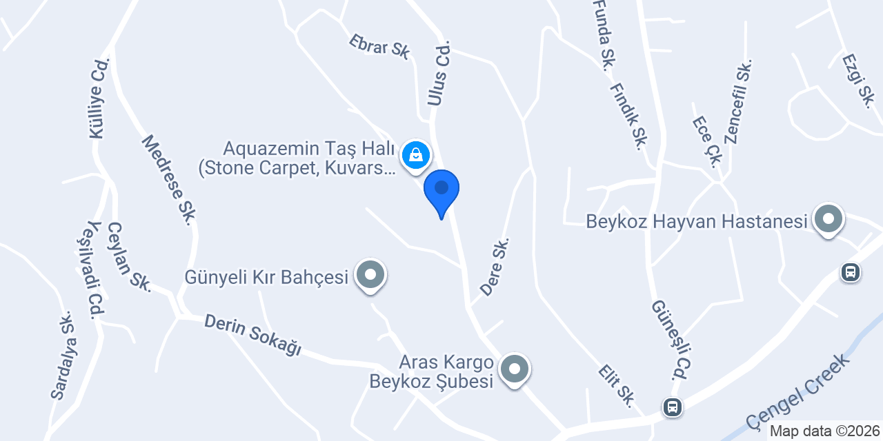 Lyaa Buzz Gıda konumu