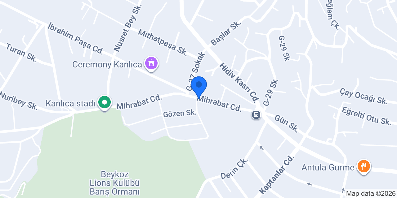 Arlin Eğitim Danışmanlık konumu