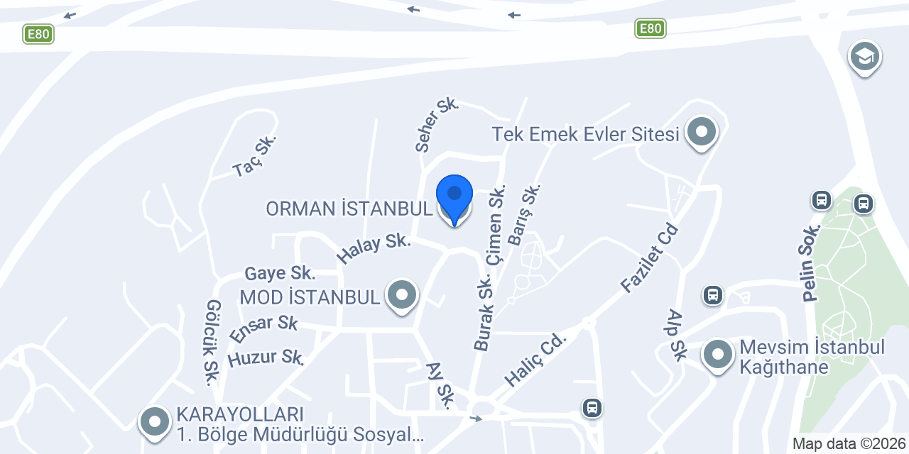 ORMAN İSTANBUL konumu