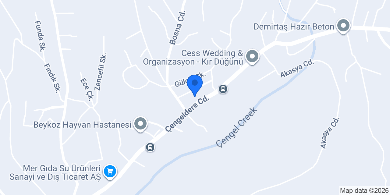Yapay Çiçek Dekor konumu