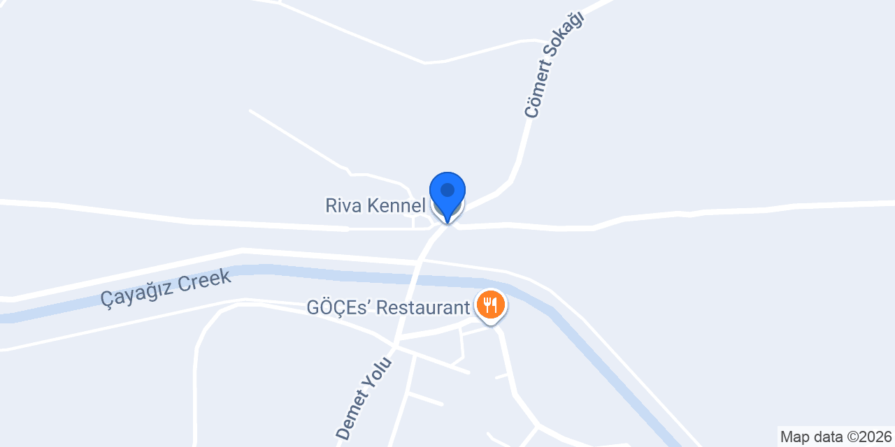 Riva Kennel konumu