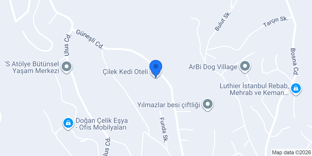 Çilek Kedi Oteli konumu