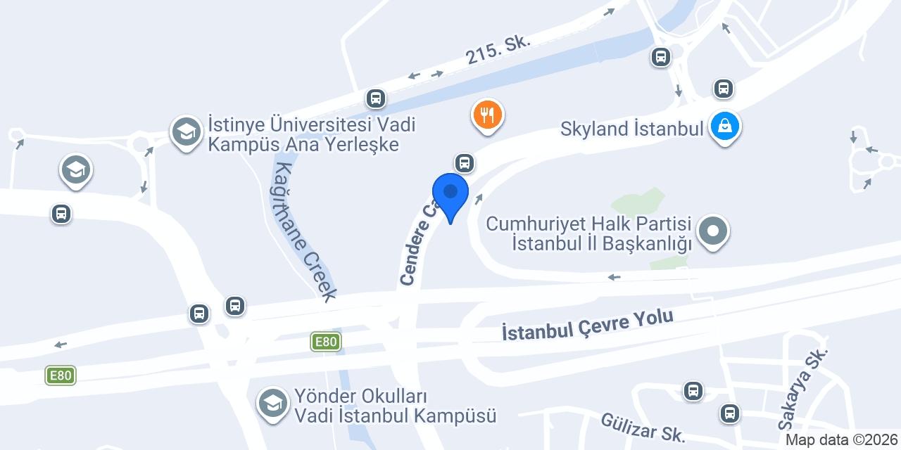 Bosphorus Yatırım ve Dış Tic. A.Ş. konumu