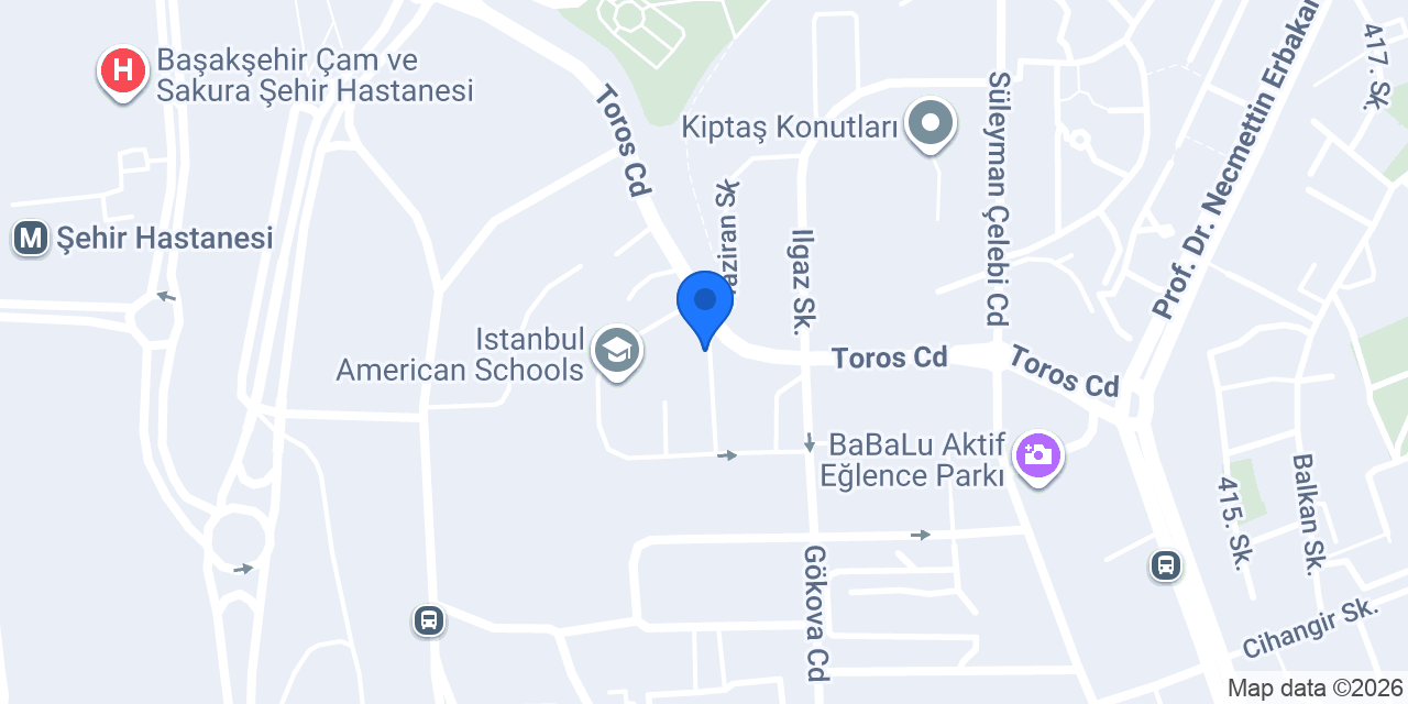 Hayat taksi konumu