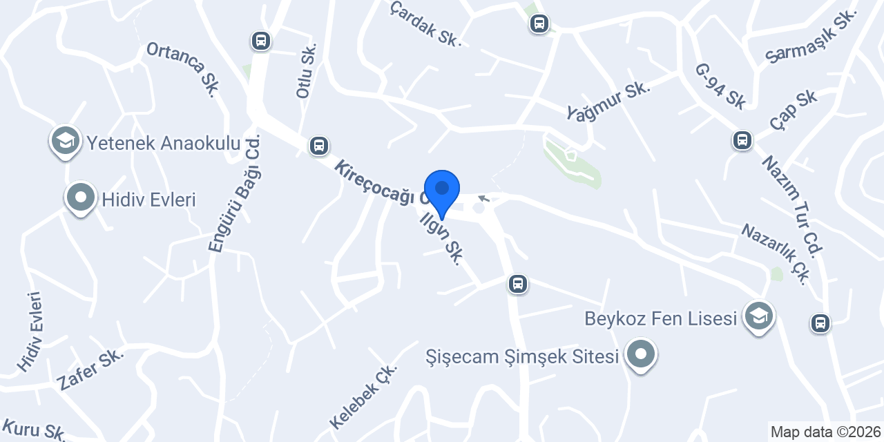 İstanbul VİP Auto konumu