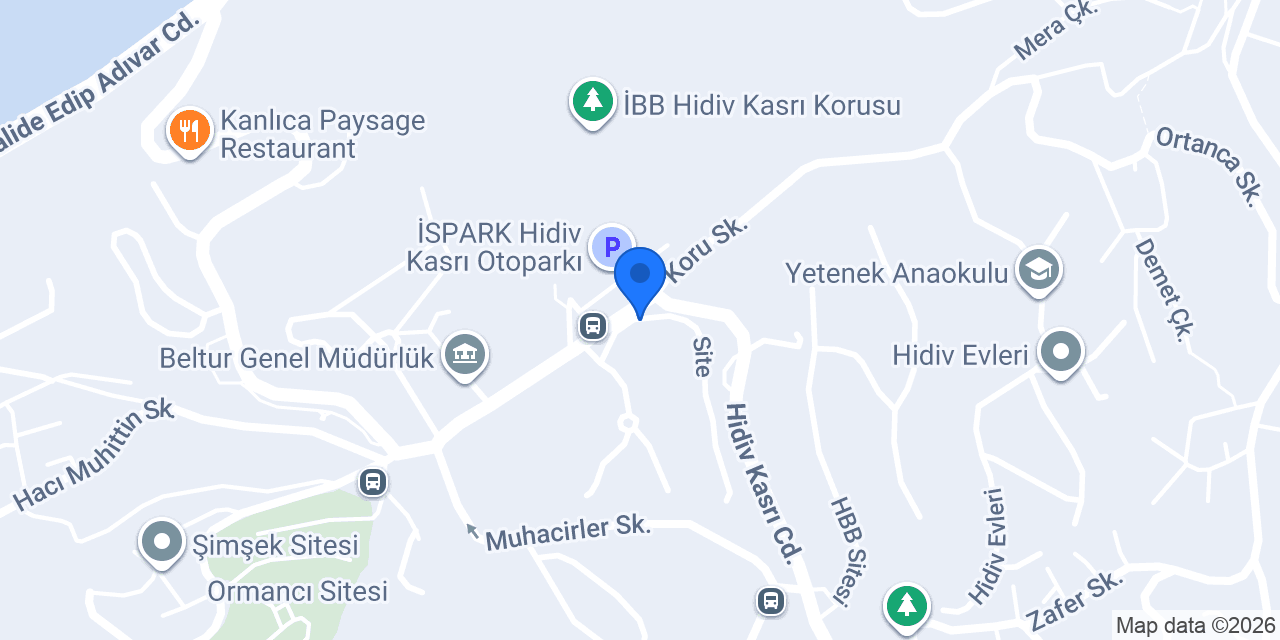 BlackSea konumu