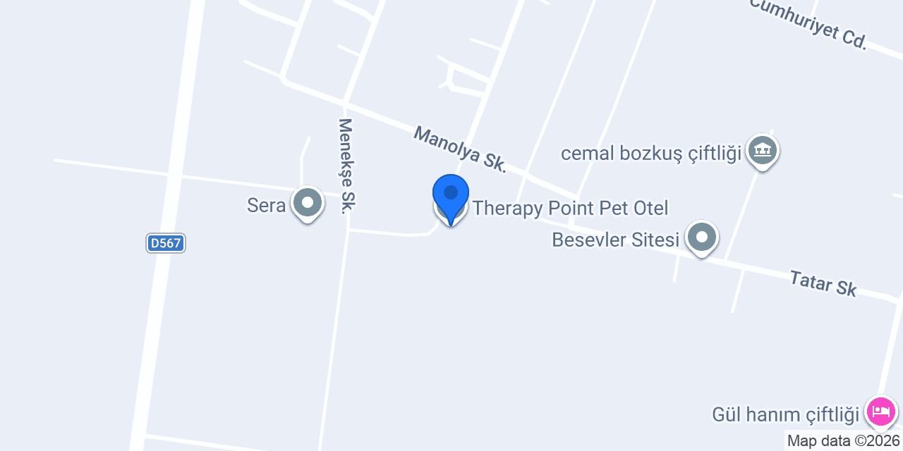 Therapy Point Pet Otel konumu