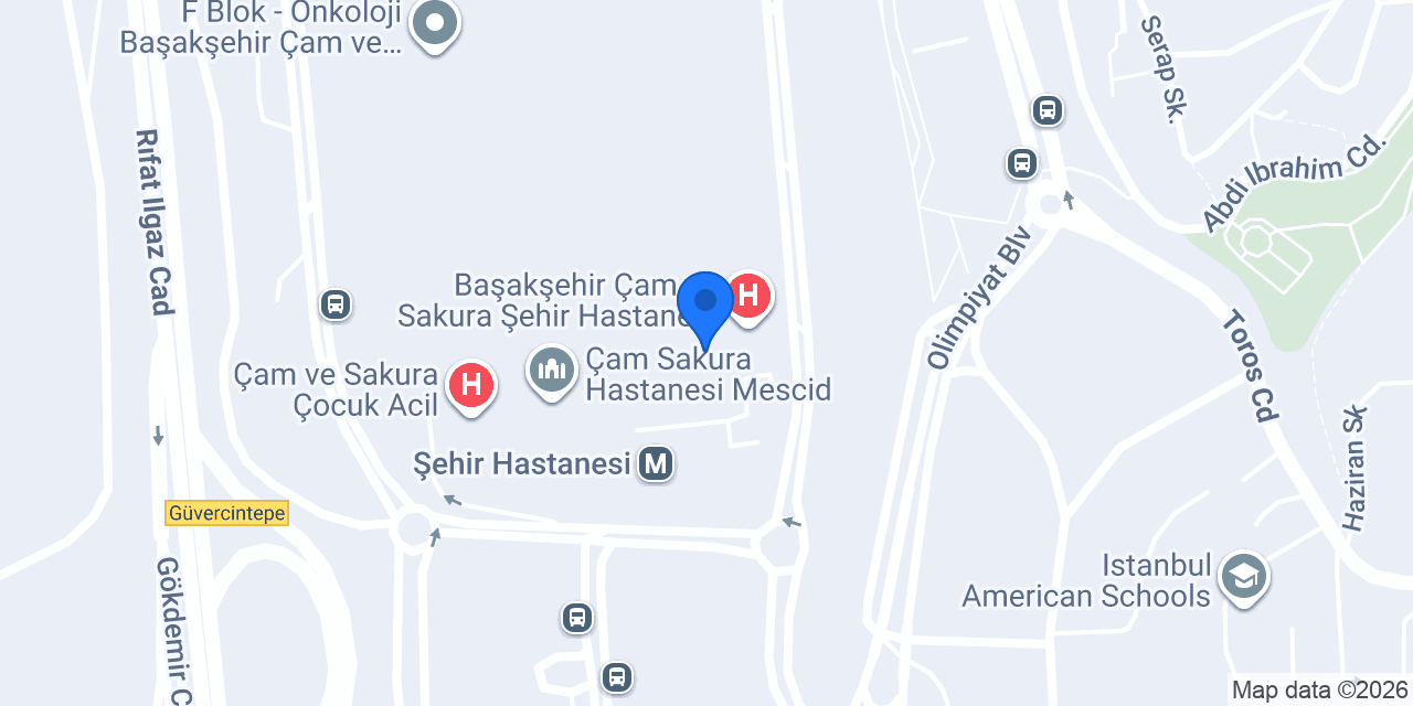 Çam Sakura Çiçekçisi konumu