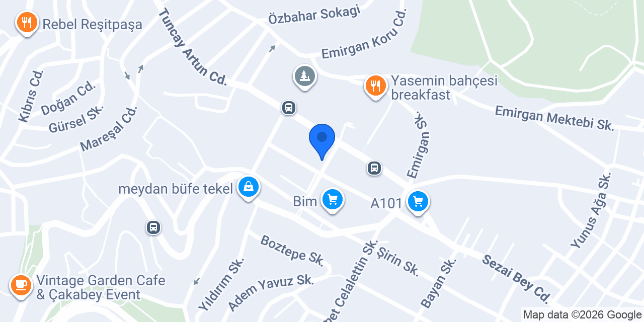 Avukat Asiye Ayluçtarhan konumu