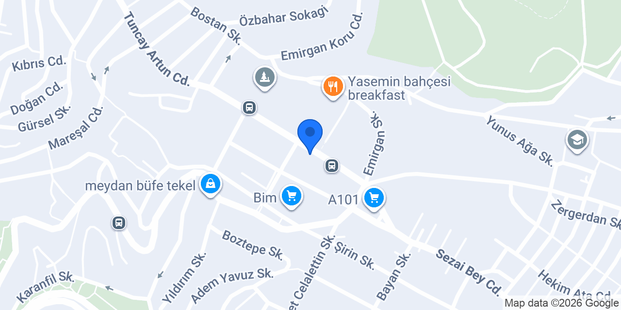 Reşitpaşa Diş konumu