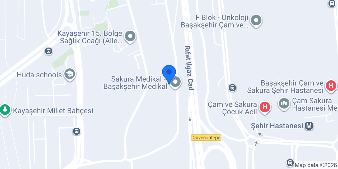 Barış Çiçekçilik - Başakşehir konumu