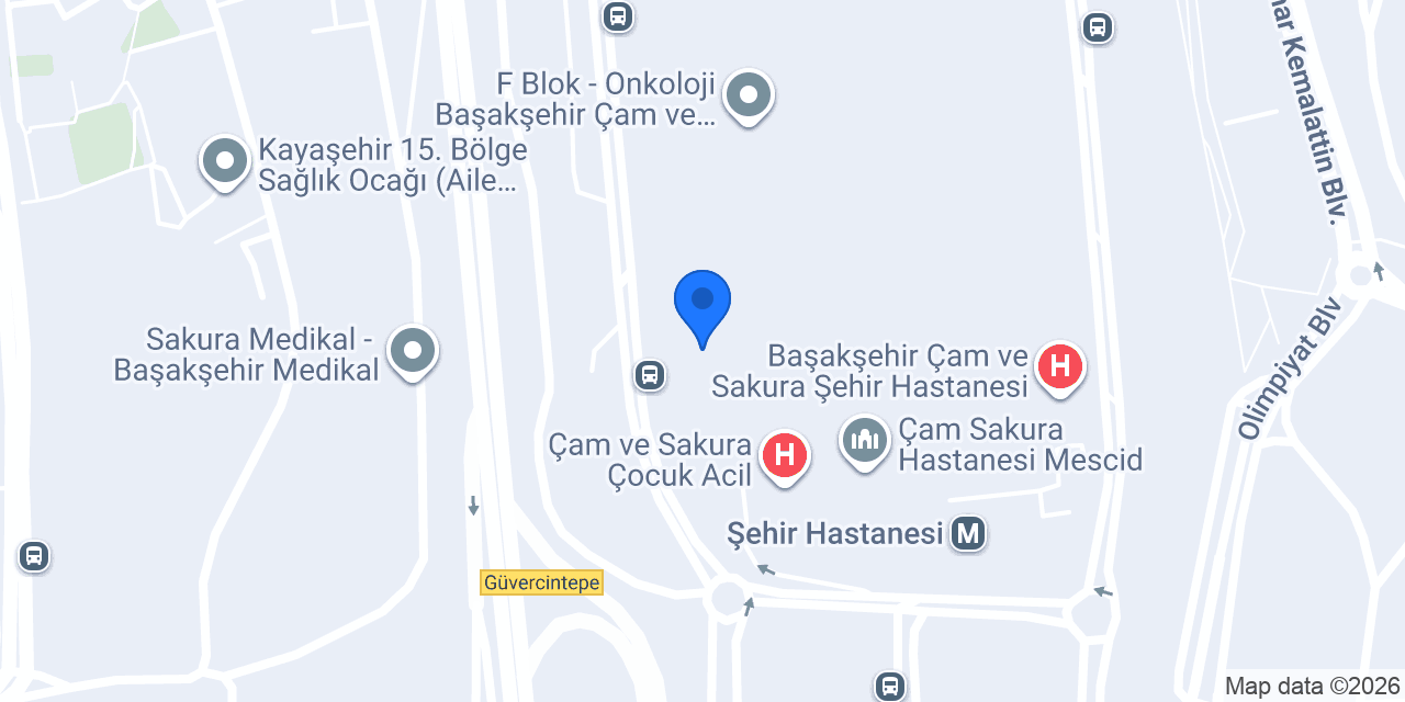 İnsta Çikolata Organizasyon AŞ konumu