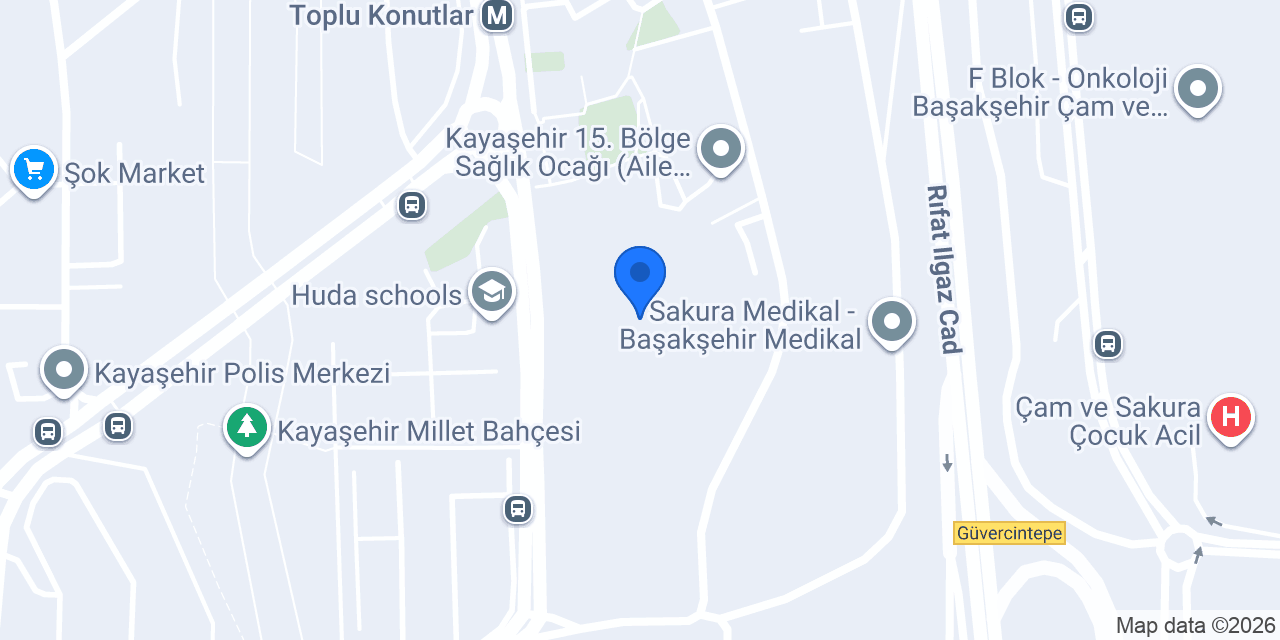 Asil Okulları Başakşehir Kampüsü konumu