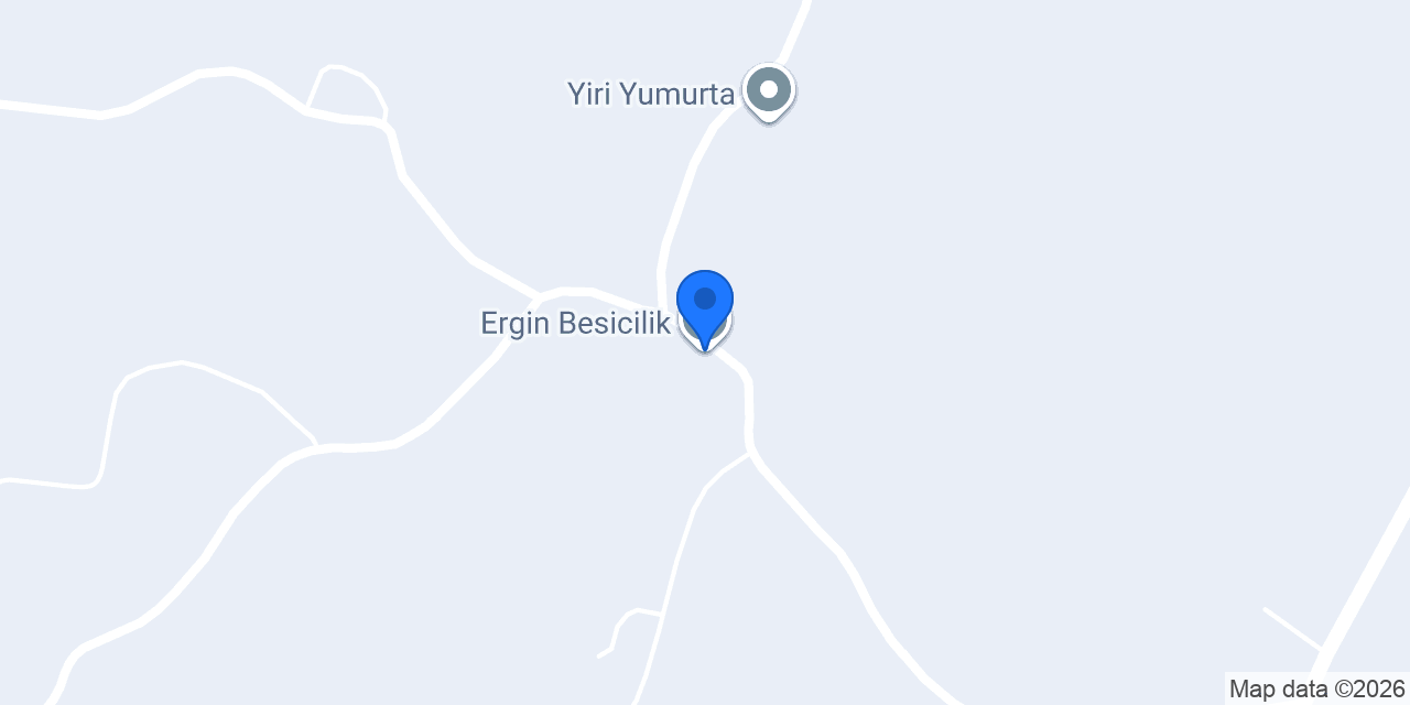 Ergin Besicilik konumu