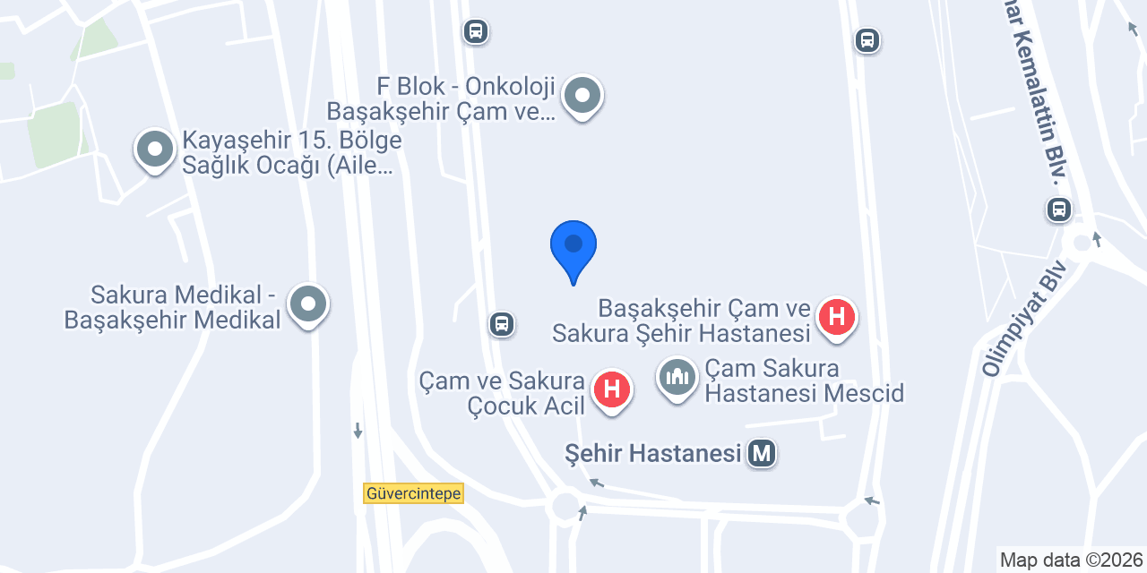 Bargello Başakşehir konumu