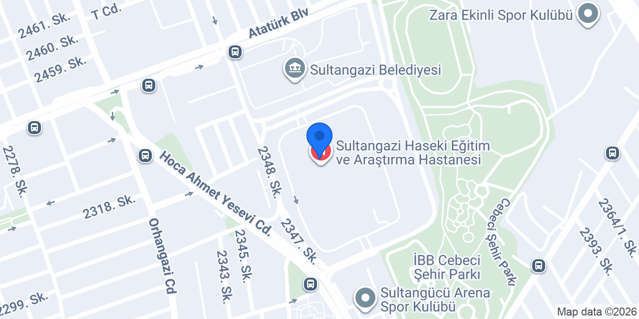 Doç. Dr. Özlem Zeliha Sert konumu