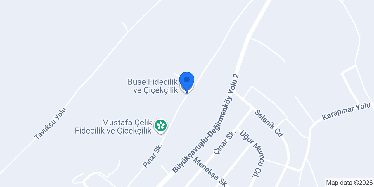 Buse Fidecilik ve Çiçekçilik konumu