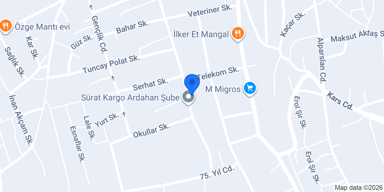 Anadolu Sigorta konumu