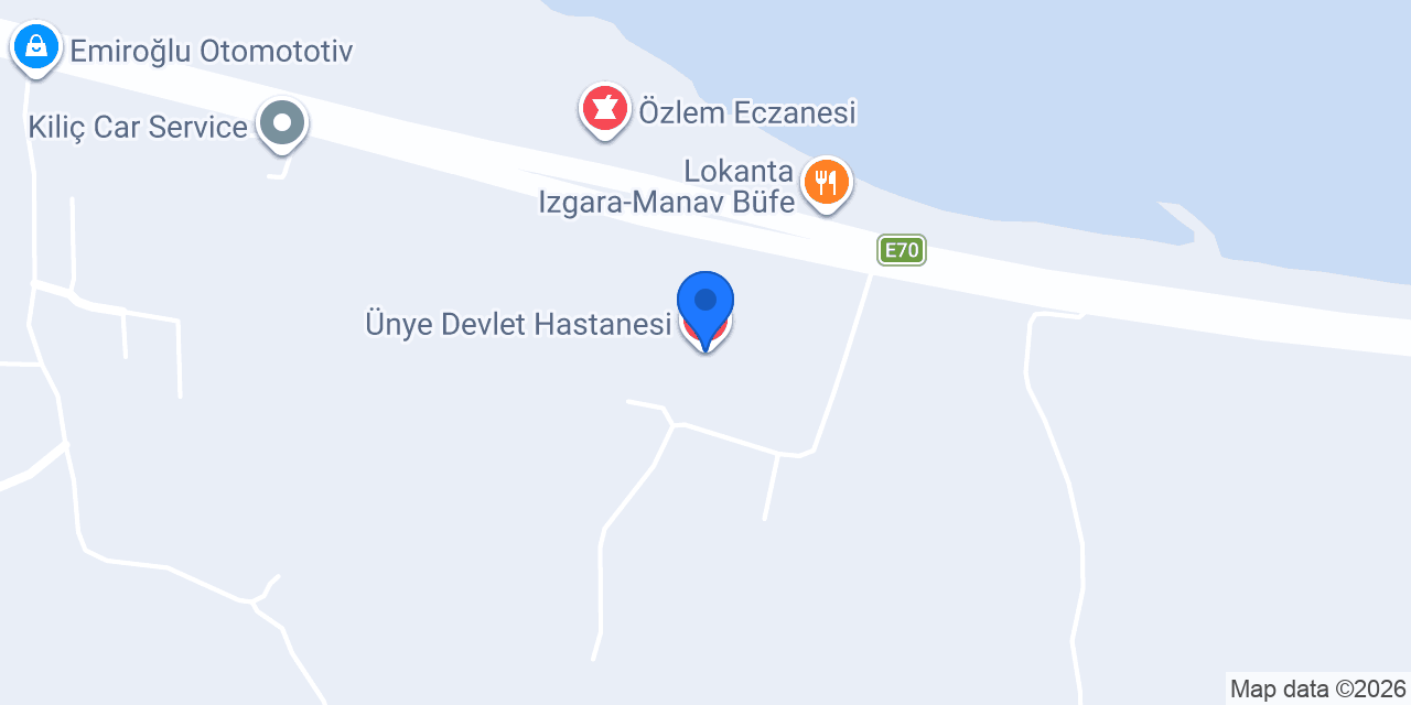 Ünye Devlet Hastanesi konumu