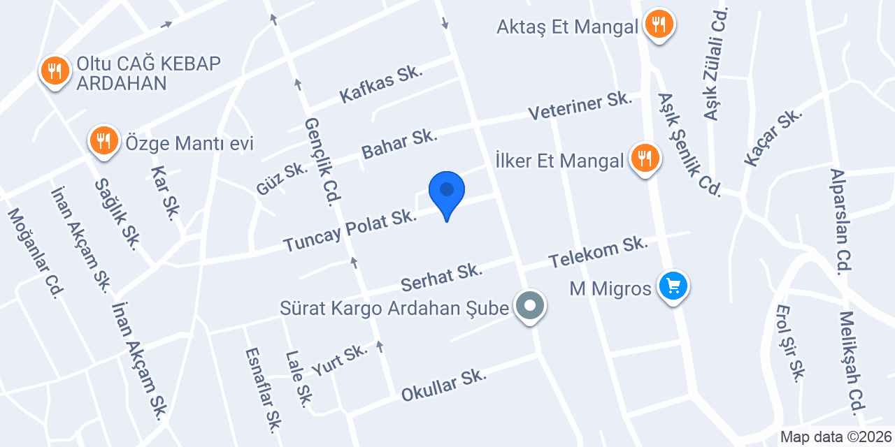 Çınar emlak boya alçı konumu