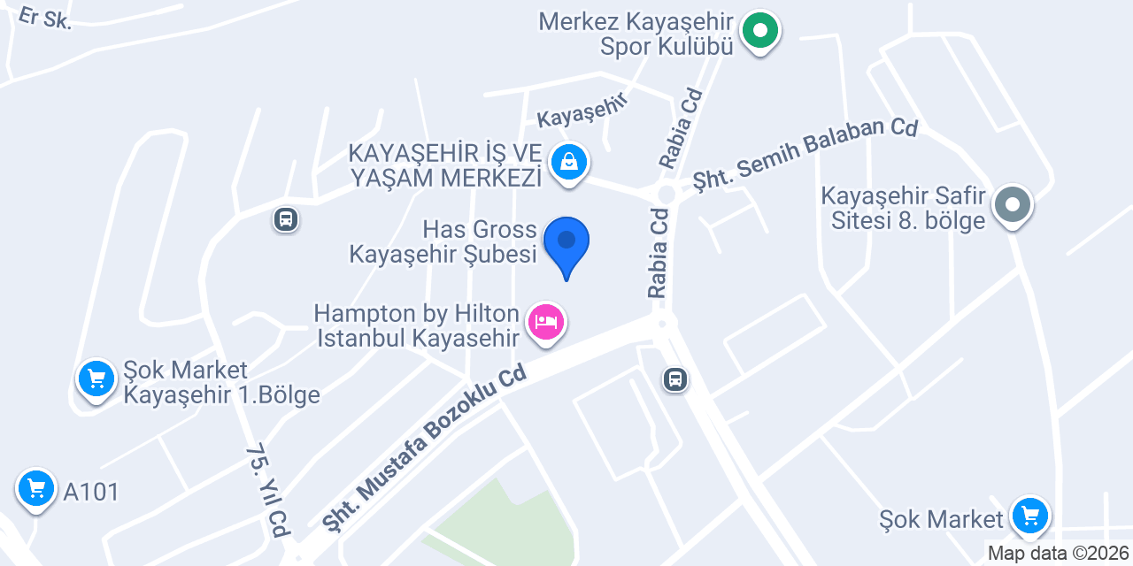 Terzi Adem Kuru Temizleme Kayaşehir konumu
