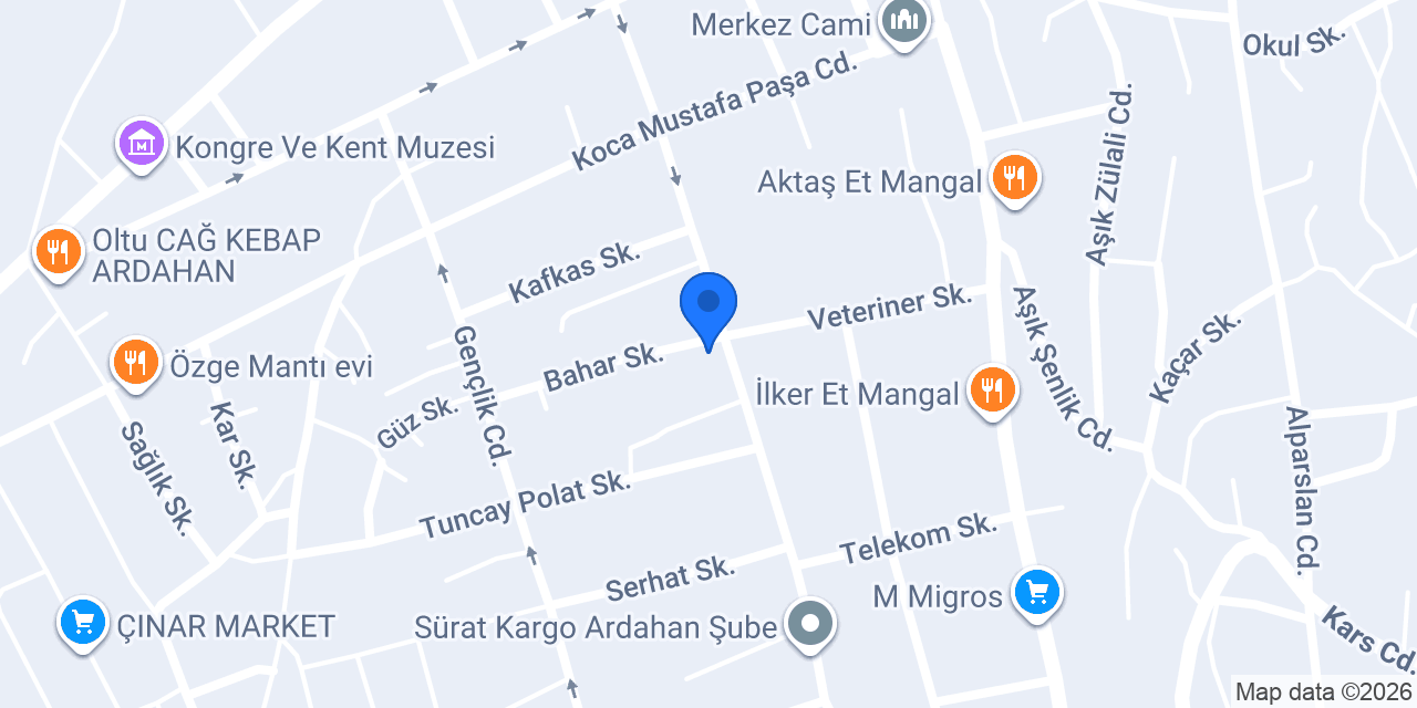 Ardahan Merkez Terzi Neşe konumu
