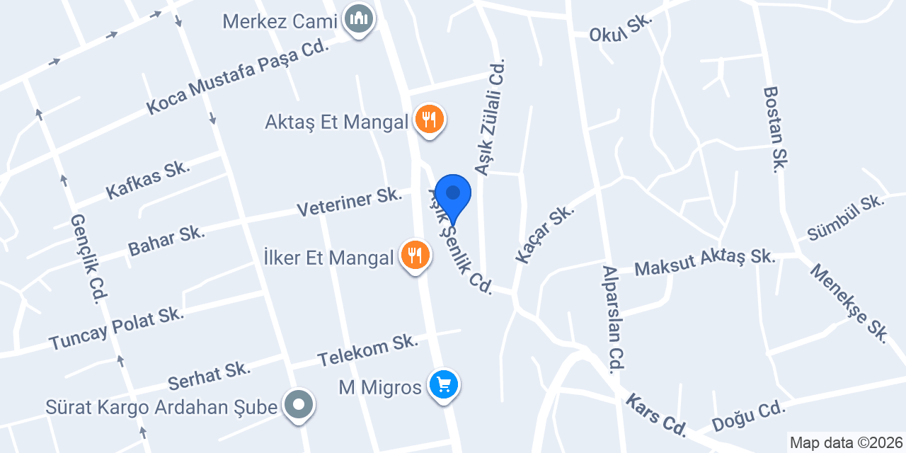 Çıldır Lisesi konumu