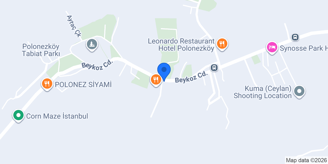 Ludwik Pansiyon Konaklama Yeri konumu