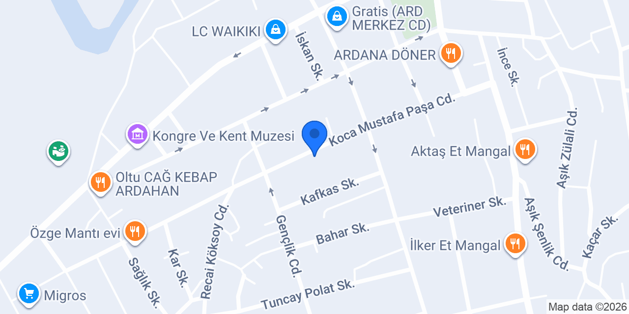 Aras Kargo Ardahan Şubesi konumu