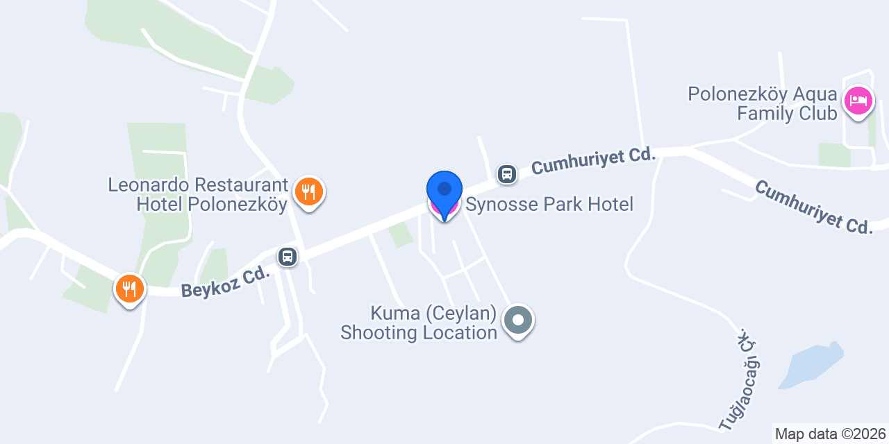 Synosse Park Hotel konumu