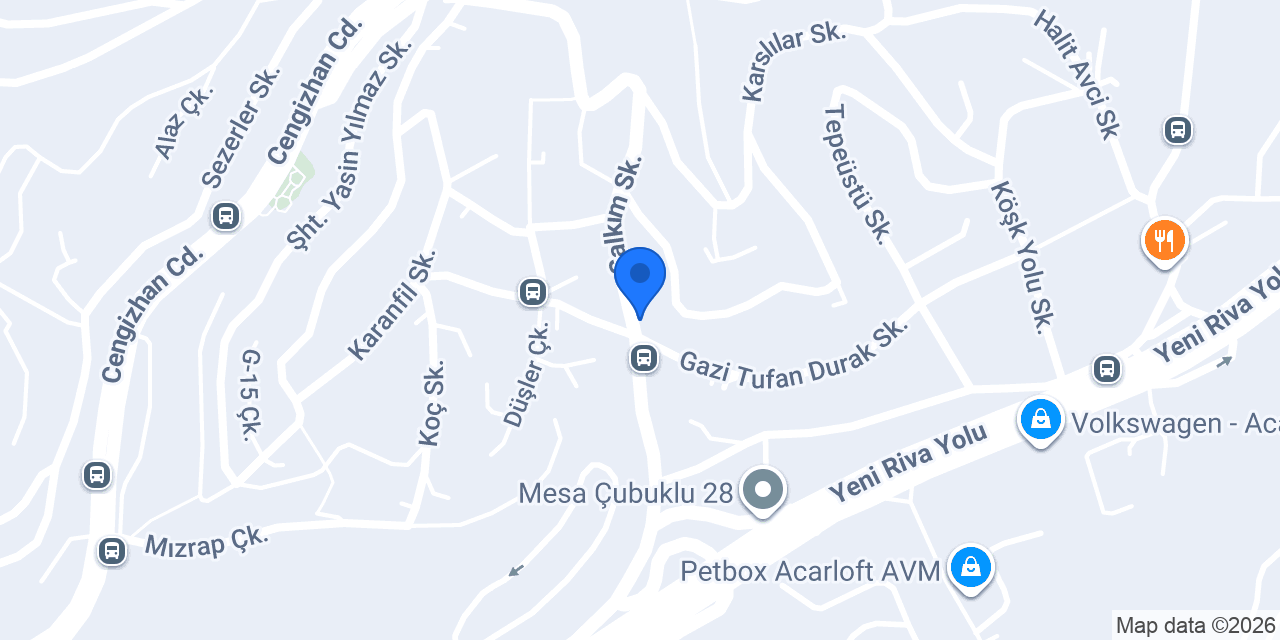 Berber Gurur Ozan konumu