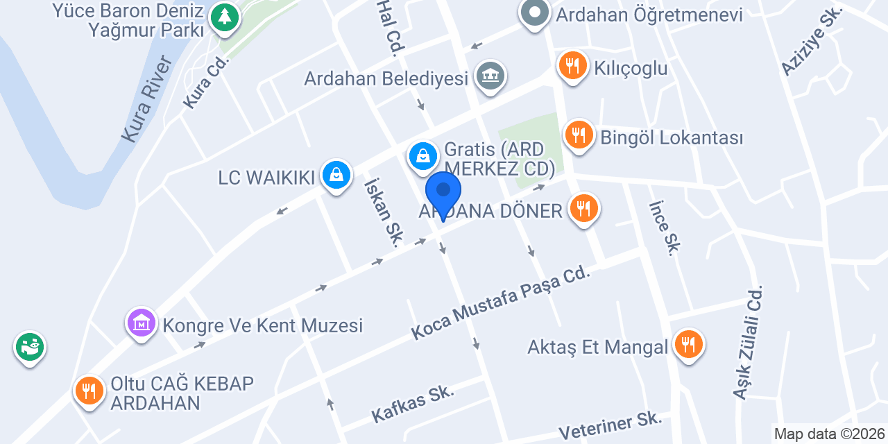 Ardahan Duru Elektrik konumu