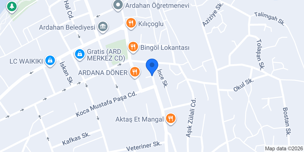 Özlem Ardahan Seyahat konumu
