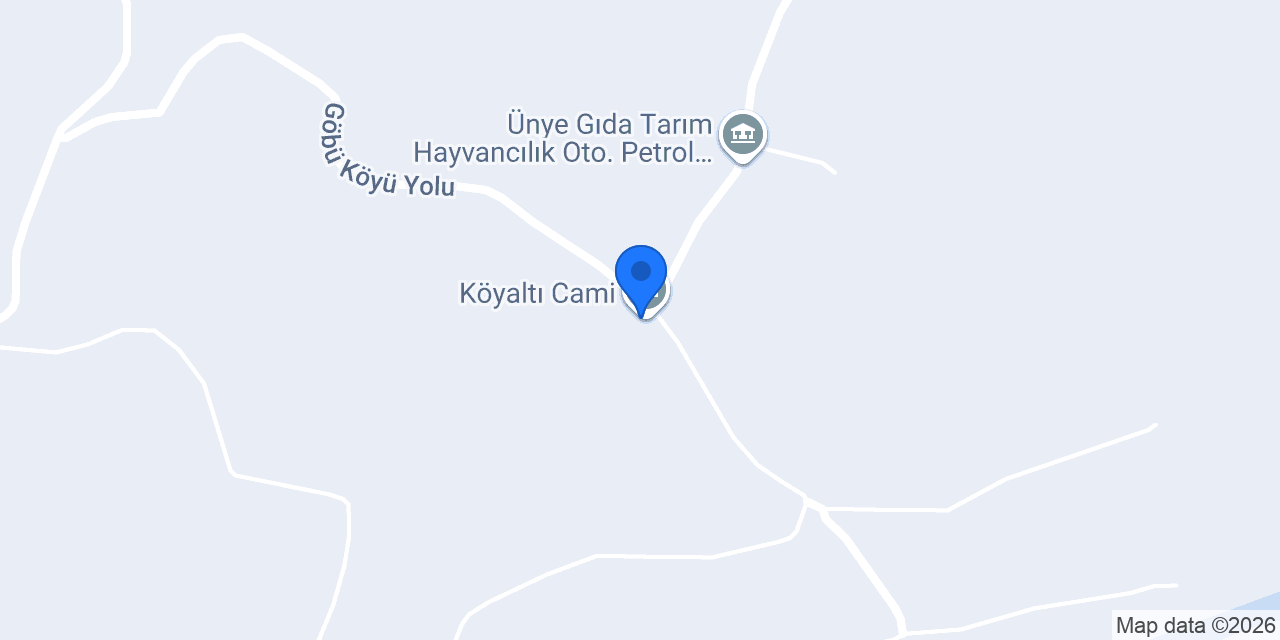 Çamyar Ticaret konumu