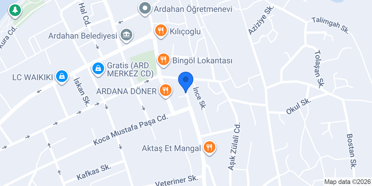 Ardahan Kars Garajı konumu