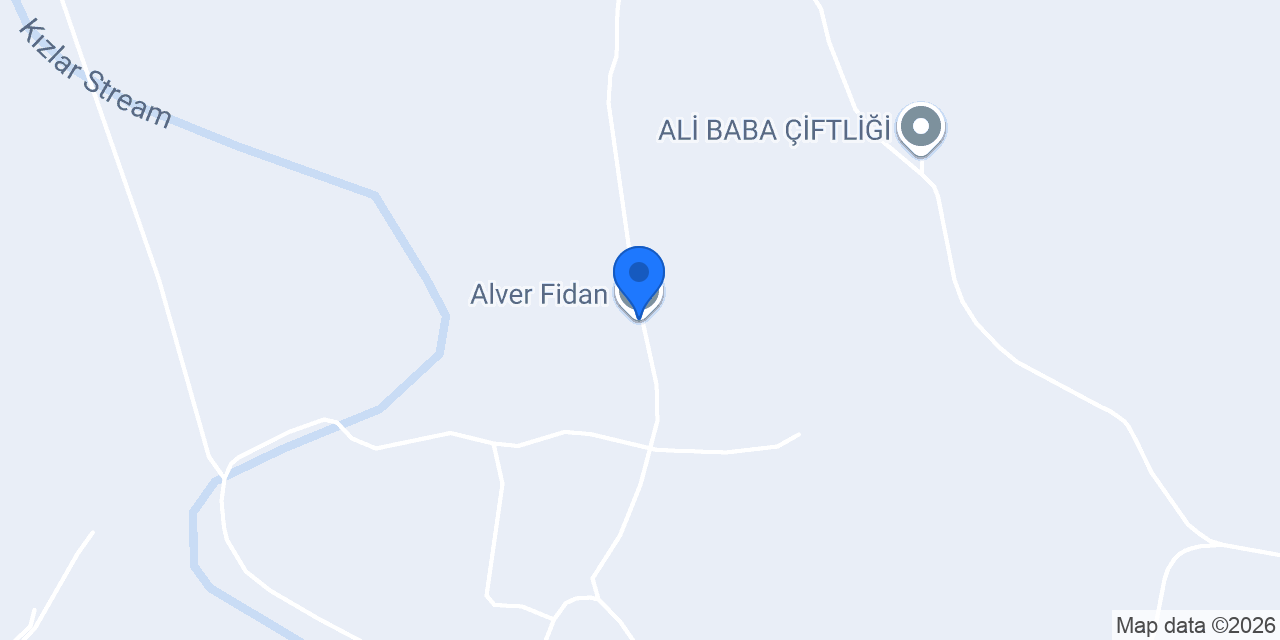 Alver Fidan konumu