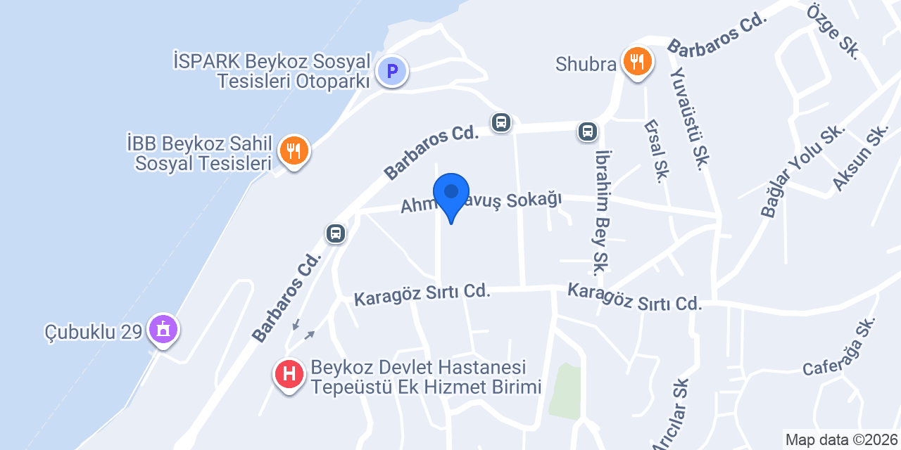 Balsu Gıda konumu