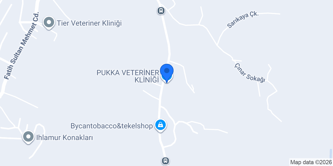Luxe Pet Hotel konumu