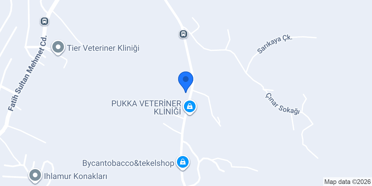 Ahşap Plus konumu