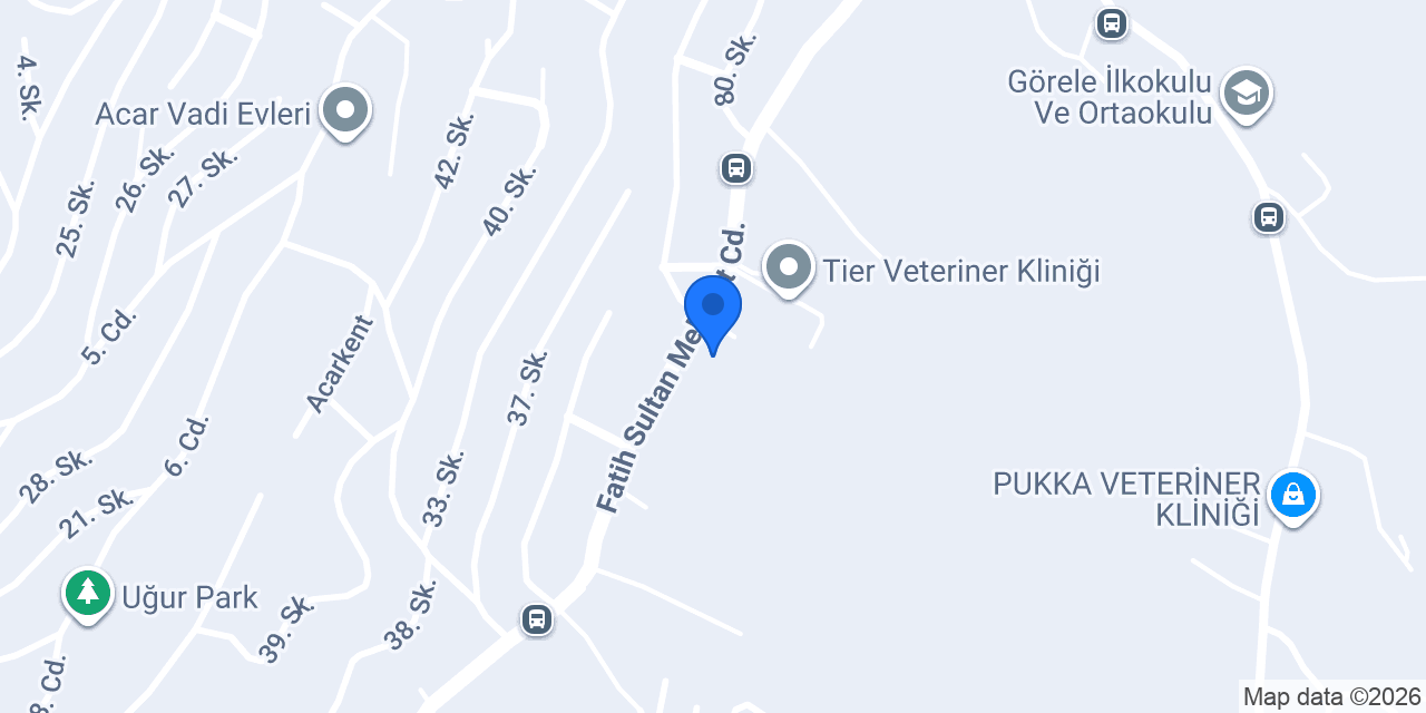 Altay kuruyemiş ve aktar konumu