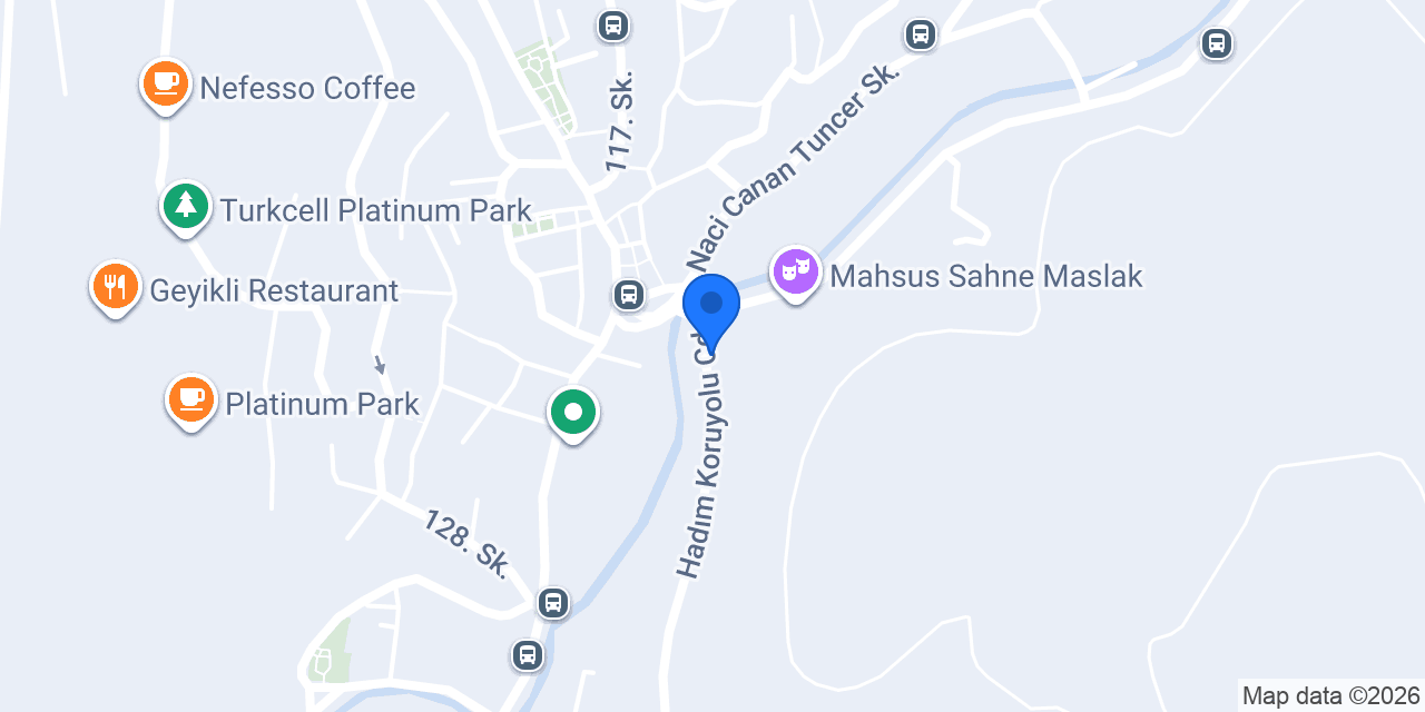 BAŞKENT OTO LASTİK konumu
