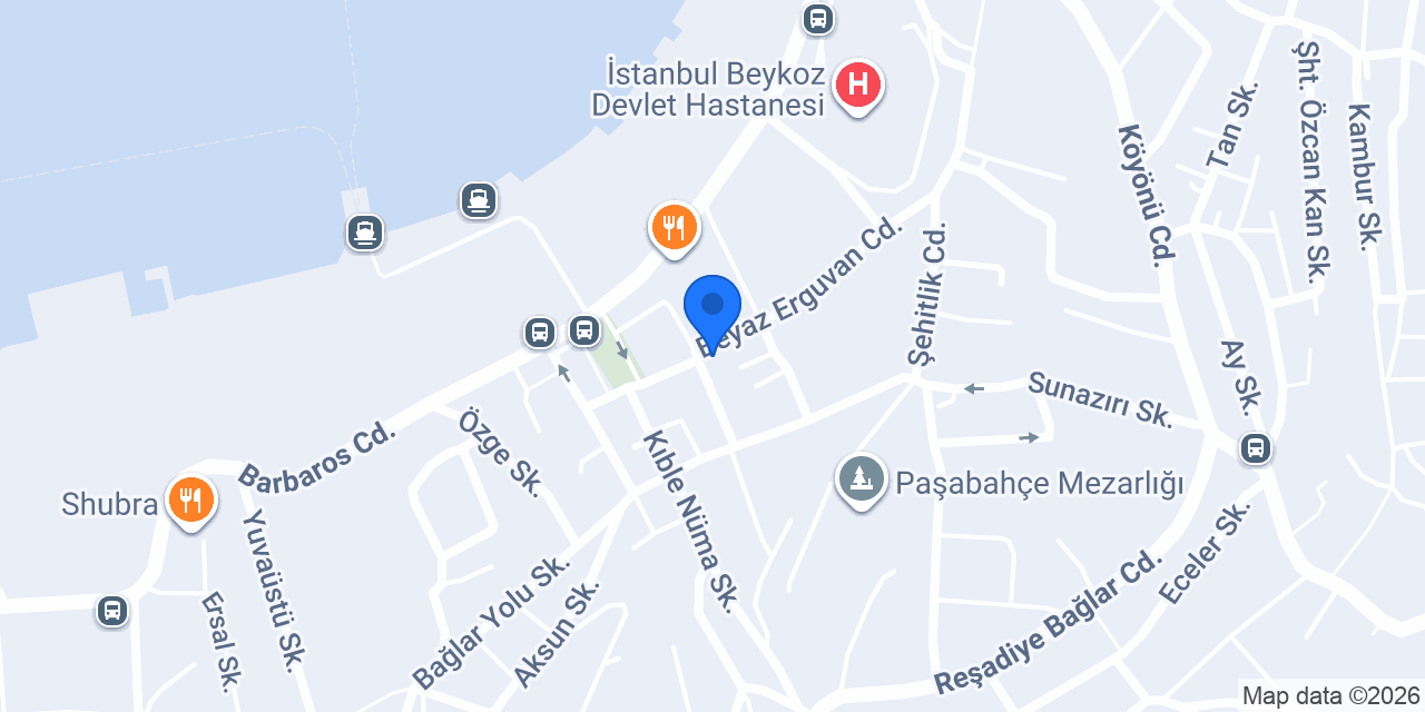 Soylu Terzi konumu