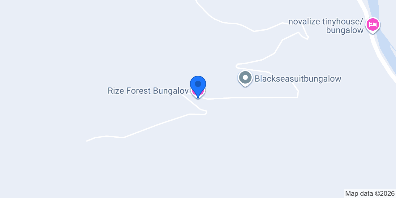 Rize Forest Bungalov konumu