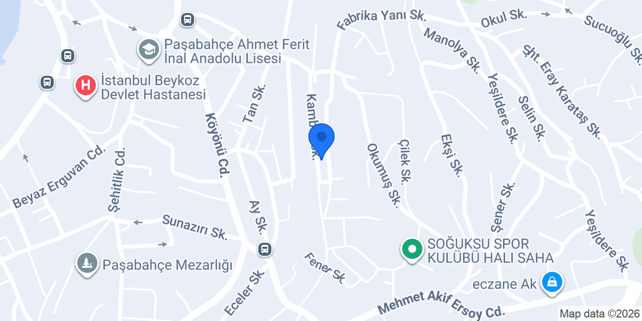 PAŞABAHÇE Engürbağvakfı konumu